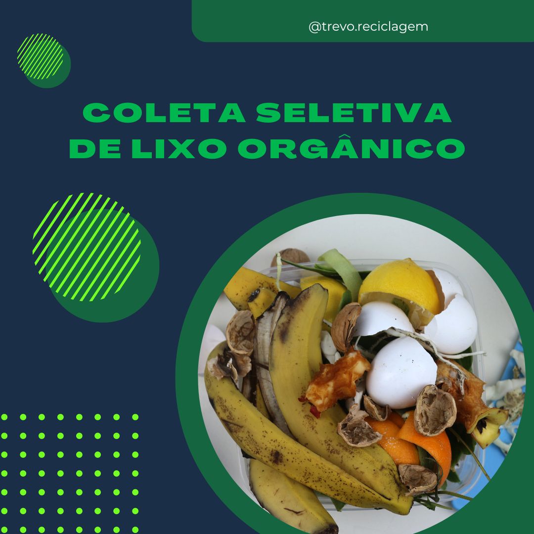 Exemplos De Lixos Orgânicos - BINKEDU