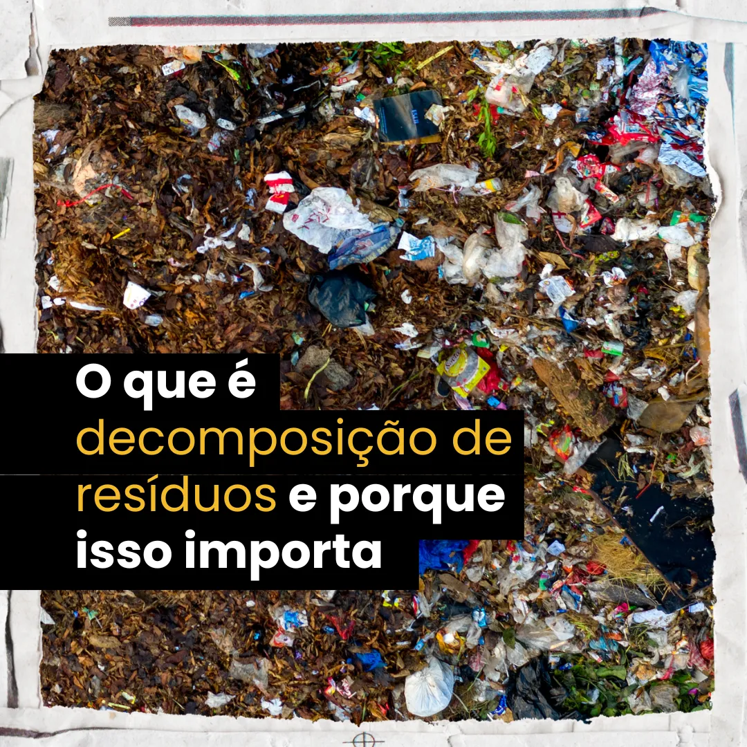 O que é decomposição de resíduos e porque isso importa - Trevo Reciclagem