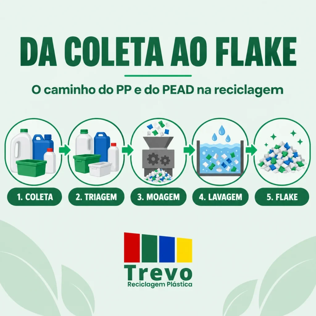 Fluxo da reciclagem de PP e PEAD: coleta, triagem, moagem, lavagem e flake